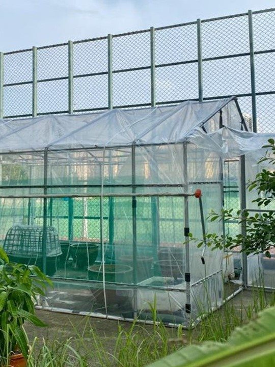 小型温室